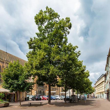 Le Griffon Lejlighed Colmar Eksteriør billede